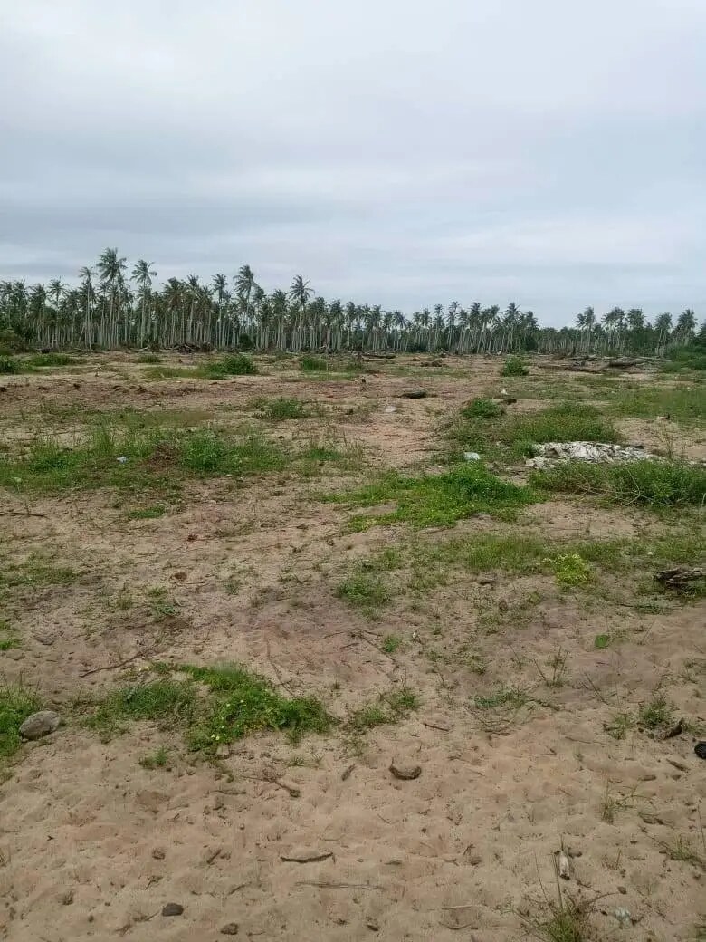 Vue terrestre de l’état actuel du terrain à Mohame